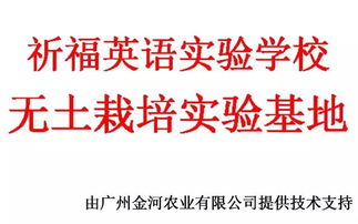 校企攜手，共繪軟件技術(shù)教育新篇章
